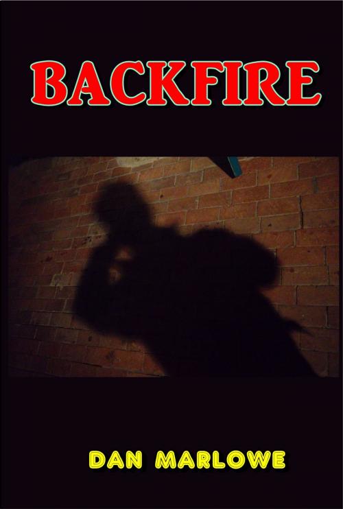 Cover of the book Backfire by Dan Marlowe, Green Bird Press