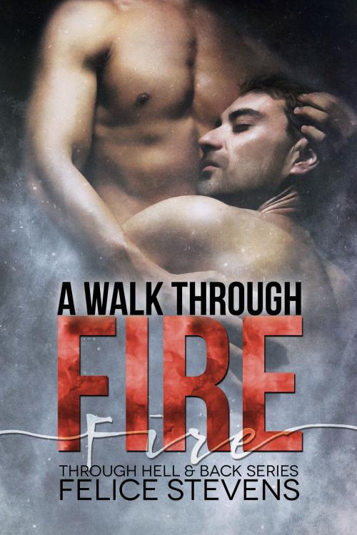 Cover of the book A Walk Through Fire by Felice Stevens, Felice Stevens