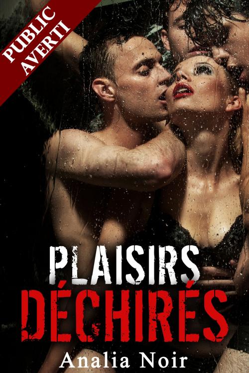 Cover of the book Plaisirs Déchirés (Plaisirs Partagés Vol. 2) by Analia Noir, Analia Noir