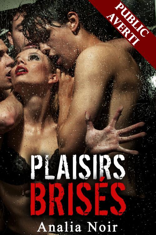 Cover of the book Plaisirs Brisés (Plaisirs Partagés Vol. 3) by Analia Noir, Analia Noir