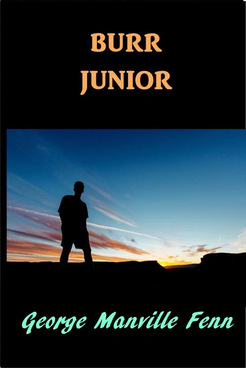 Cover of the book Burr Junior by George Manville Fenn, Green Bird Press