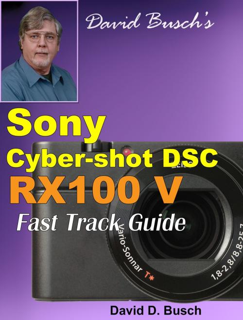 Cover of the book David Busch's Sony Cyber-shot DSC RX100 V FAST TRACK GUIDE by David Busch, Laserfaire Press