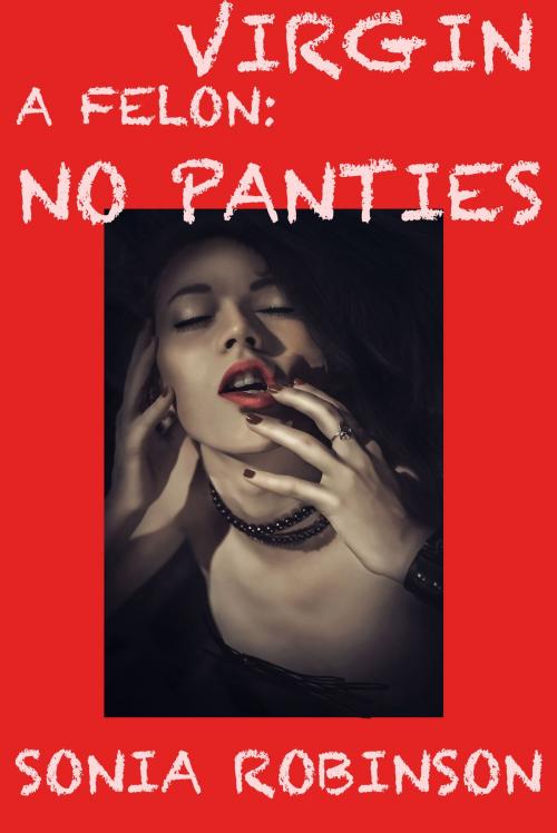 Cover of the book Virgin with a Felon: No Panties by Sonia Robinson, HPA