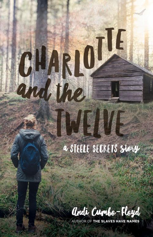 Cover of the book Charlotte and the Twelve by Andi Cumbo-Floyd, CreateSpace