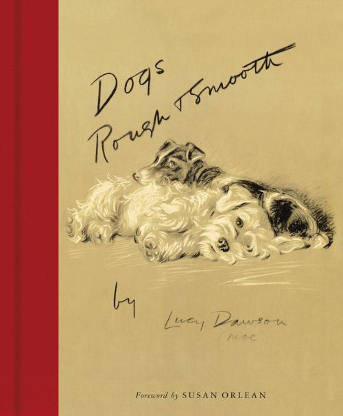 Cover of the book Dogs Rough and Smooth by Lucy Dawson, Harper Design