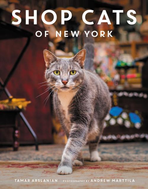 Cover of the book Shop Cats of New York by Tamar Arslanian, Harper Design