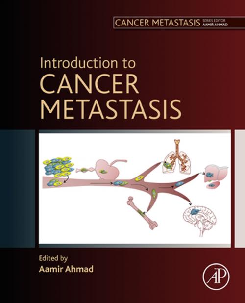 Cover of the book Introduction to Cancer Metastasis by , Elsevier Science