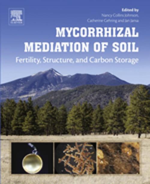 Cover of the book Mycorrhizal Mediation of Soil by Nancy Collins Johnson, Catherine Gehring, Jan Jansa, Elsevier Science