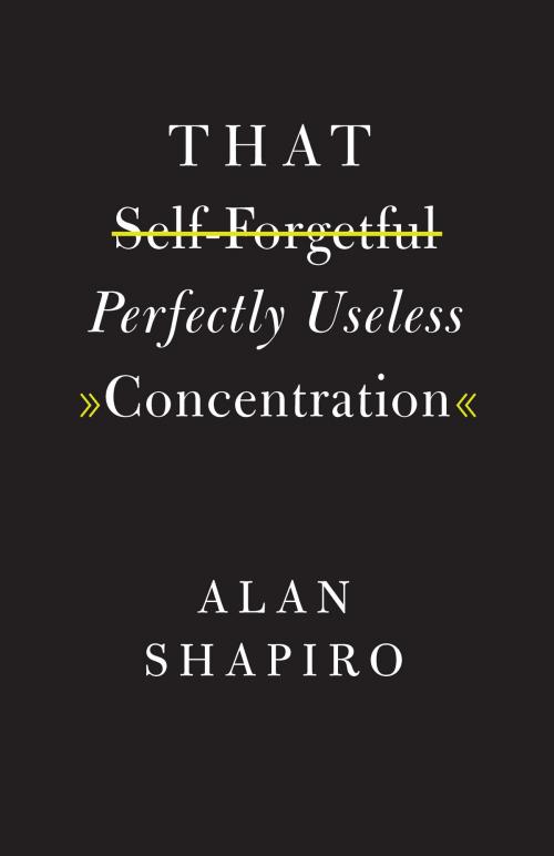 Cover of the book That Self-Forgetful Perfectly Useless Concentration by Alan Shapiro, University of Chicago Press
