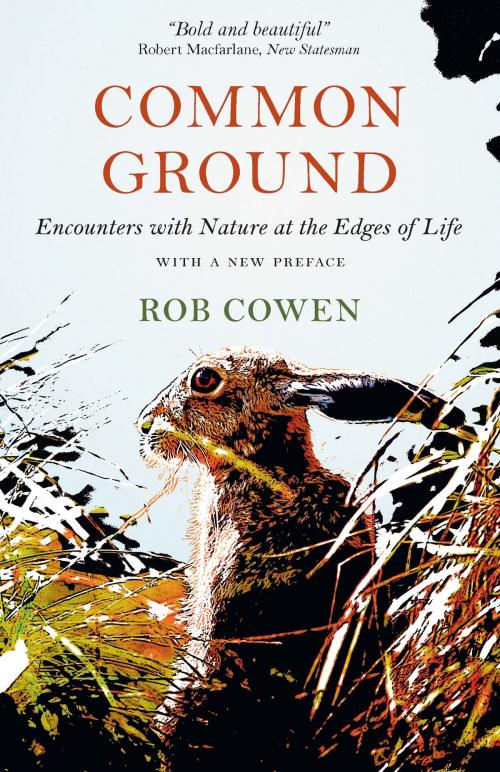 Cover of the book Common Ground by Rob Cowen, University of Chicago Press