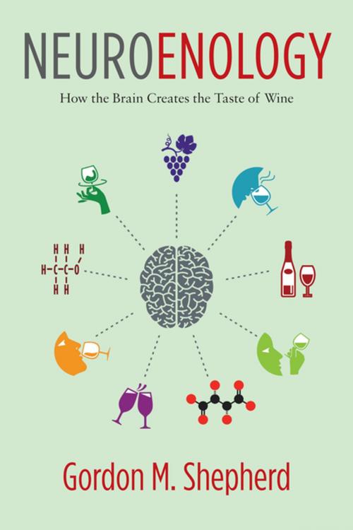 Cover of the book Neuroenology by Gordon Shepherd, Columbia University Press