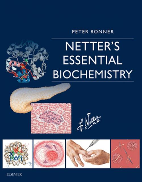 Cover of the book Netter's Essential Biochemistry E-Book by Peter Ronner, PhD, Elsevier Health Sciences
