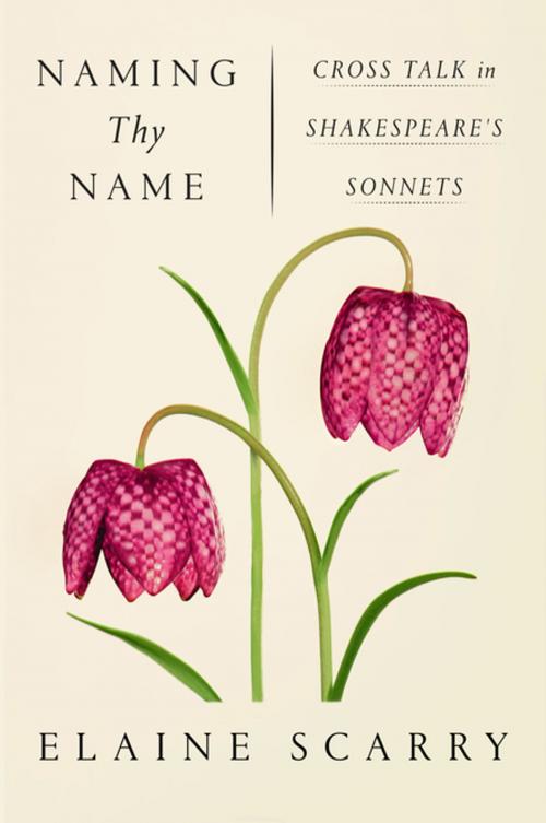 Cover of the book Naming Thy Name by Elaine Scarry, Farrar, Straus and Giroux