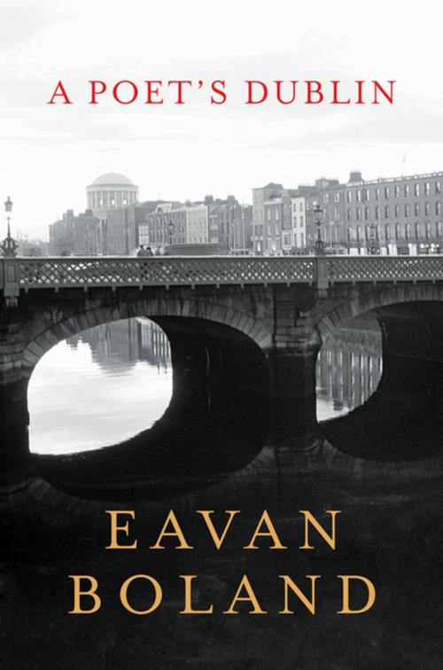 Cover of the book A Poet's Dublin by Eavan Boland, W. W. Norton & Company