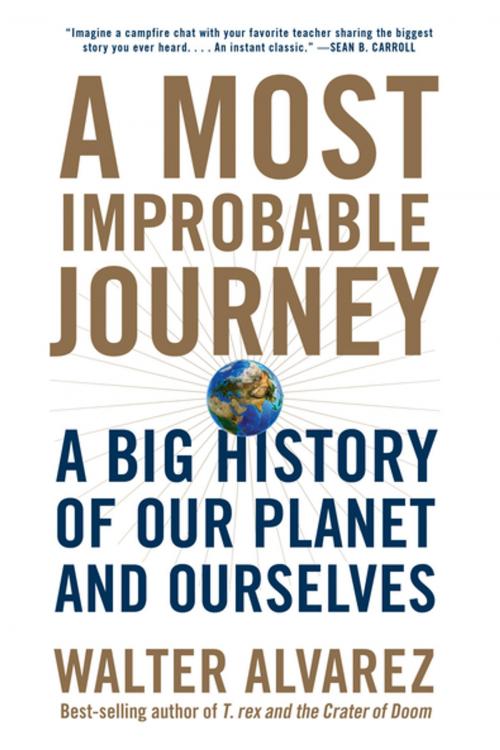 Cover of the book A Most Improbable Journey: A Big History of Our Planet and Ourselves by Walter Alvarez, W. W. Norton & Company