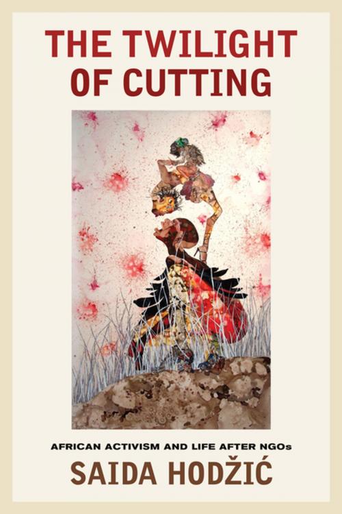 Cover of the book The Twilight of Cutting by Saida Hodzic, University of California Press