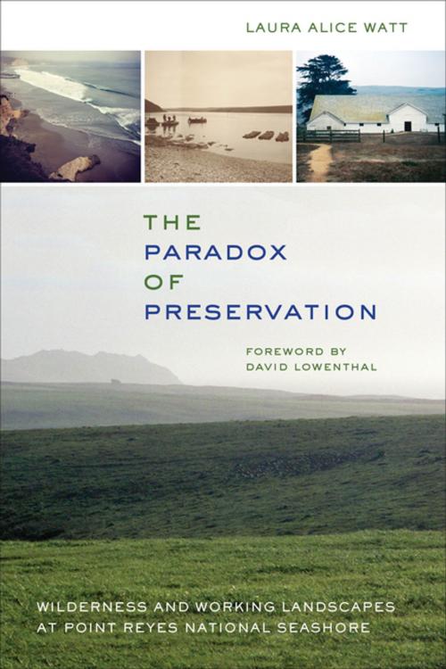 Cover of the book The Paradox of Preservation by Laura Alice Watt, University of California Press
