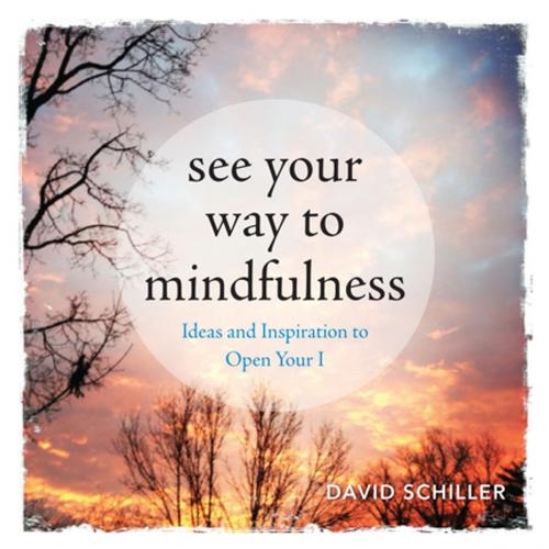 Cover of the book See Your Way to Mindfulness by David Schiller, Workman Publishing Company