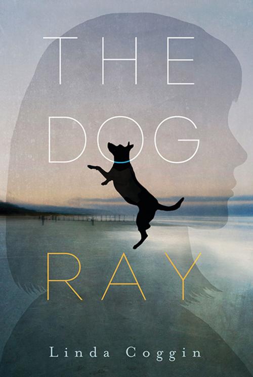 Cover of the book The Dog, Ray by Linda Coggin, Candlewick Press