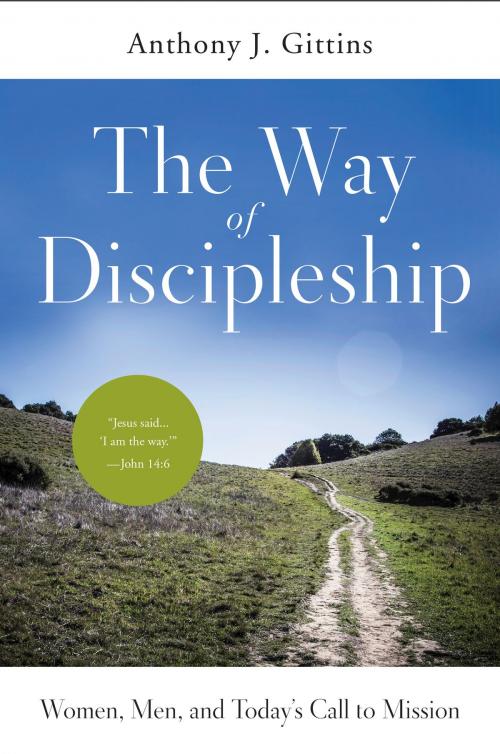 Cover of the book The Way of Discipleship by Anthony J. Gittins CSSp, Liturgical Press