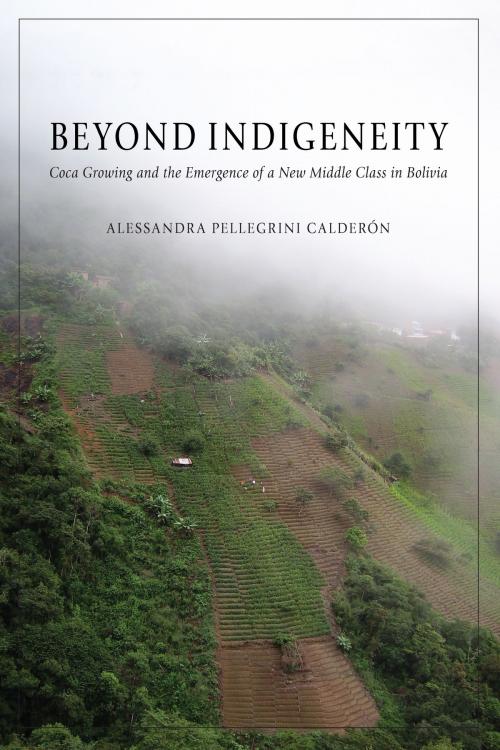 Cover of the book Beyond Indigeneity by Alessandra Pellegrini Calderón, University of Arizona Press