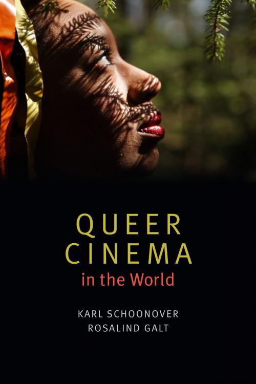 Cover of the book Queer Cinema in the World by Karl Schoonover, Rosalind Galt, Duke University Press