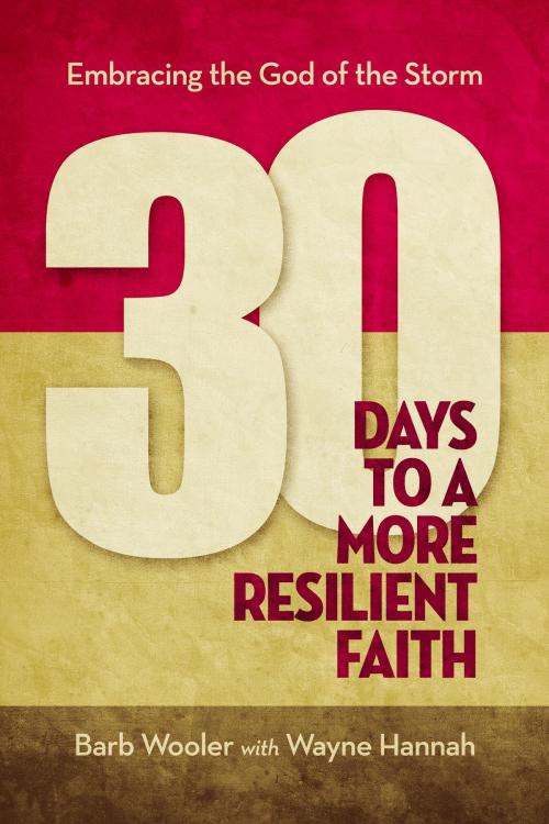 Cover of the book 30 Days to a More Resilient Faith by Barb Wooler, Wayne Hannah, BMH Books