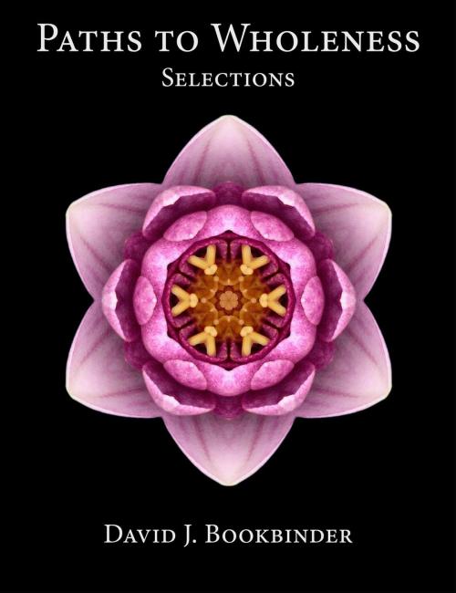 Cover of the book Paths to Wholeness: Selections by David J. Bookbinder, Transformations Press
