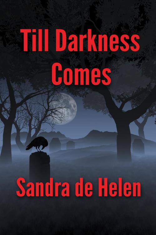 Cover of the book Till Darkness Comes by Sandra de Helen, McCorkle Ink