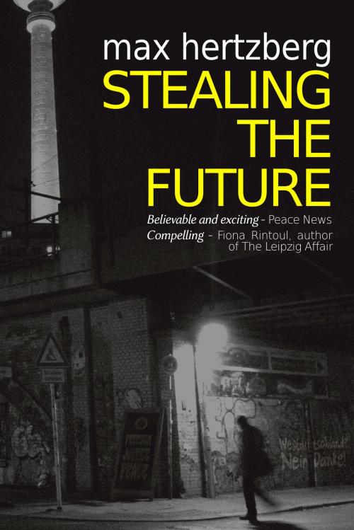 Cover of the book Stealing The Future by Max Hertzberg, Wolf Press
