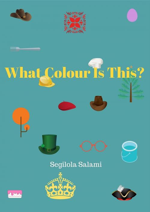 Cover of the book What Colour Is This? by Segilola Salami, Segilola Publishing