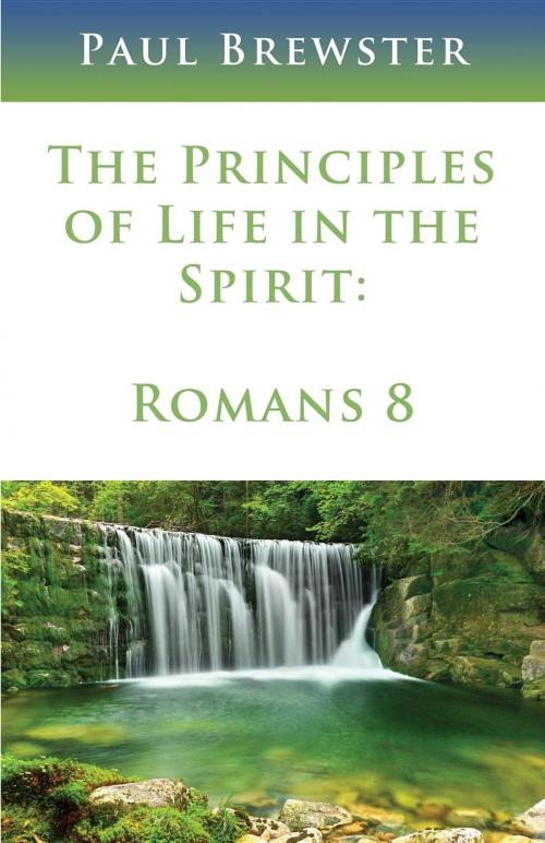 Cover of the book The Principles of Life in the Spirit by Paul Brewster, Sunesis Ministries Ltd