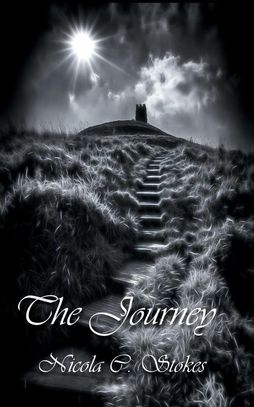 Cover of the book The Journey by Nicola C Stokes, White Light Publishing House