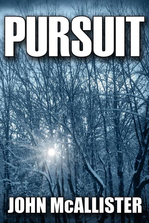Cover of the book Pursuit by John McAllister, Glenlish Publishing