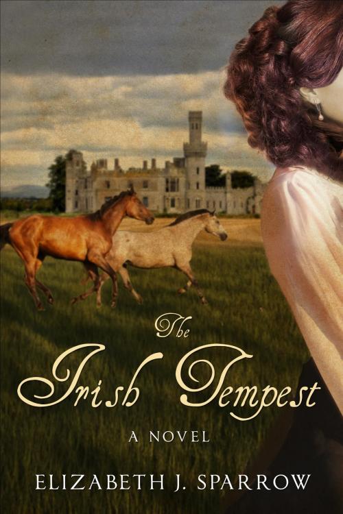 Cover of the book The Irish Tempest by Elizabeth J. Sparrow, The Waxing Gibbous Press