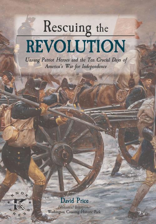 Cover of the book Rescuing the Revolution by David Price, Winged Hussar Publishing, LLC