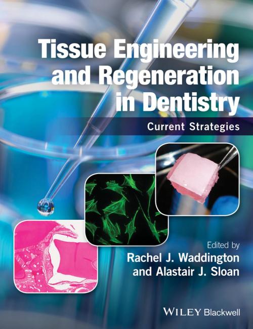 Cover of the book Tissue Engineering and Regeneration in Dentistry by , Wiley
