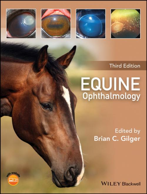 Cover of the book Equine Ophthalmology by , Wiley