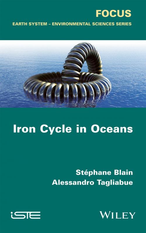 Cover of the book Iron Cycle in Oceans by Stéphane Blain, Alessandro Tagliabue, Wiley