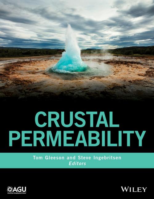 Cover of the book Crustal Permeability by , Wiley