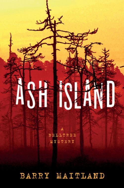 Cover of the book Ash Island by Barry Maitland, St. Martin's Press