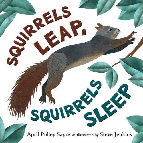 Cover of the book Squirrels Leap, Squirrels Sleep by April Pulley Sayre, Henry Holt and Co. (BYR)