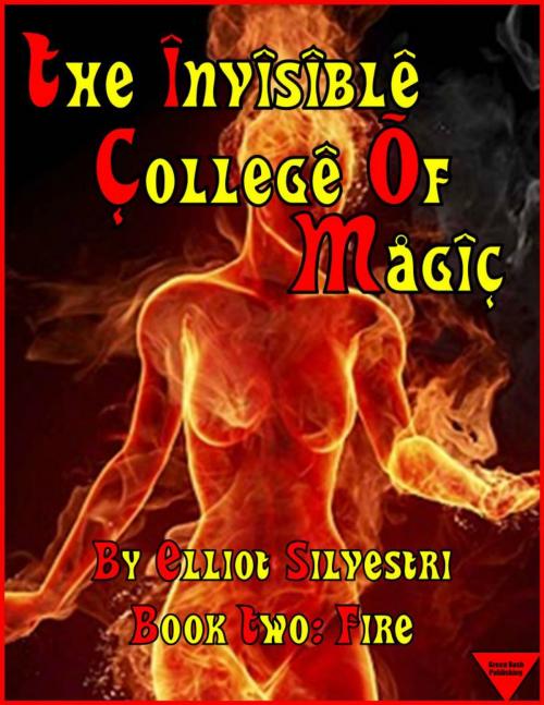 Cover of the book The Invisible College of Magic: Book Two: Fire by Elliot Silvestri, Elliot Silvestri