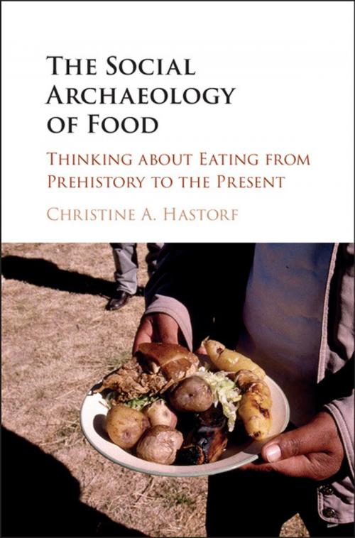 Cover of the book The Social Archaeology of Food by Christine A. Hastorf, Cambridge University Press