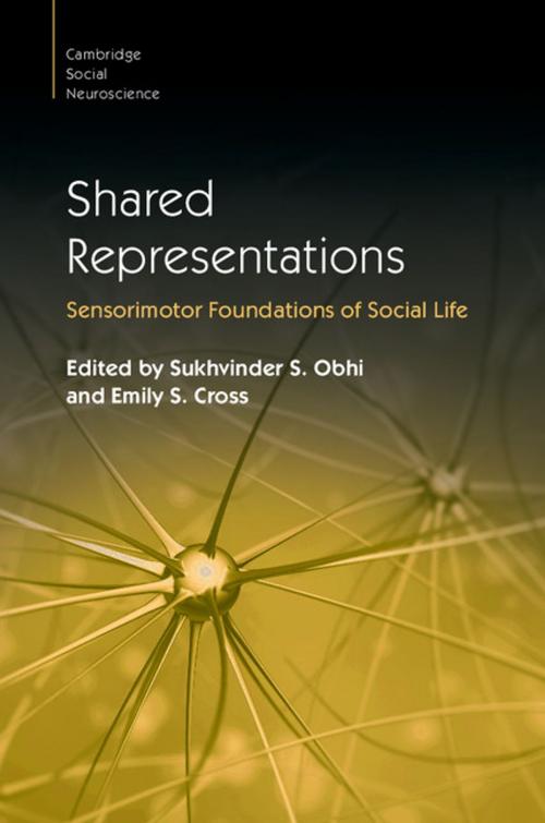 Cover of the book Shared Representations by , Cambridge University Press
