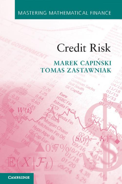 Cover of the book Credit Risk by Marek Capiński, Tomasz Zastawniak, Cambridge University Press