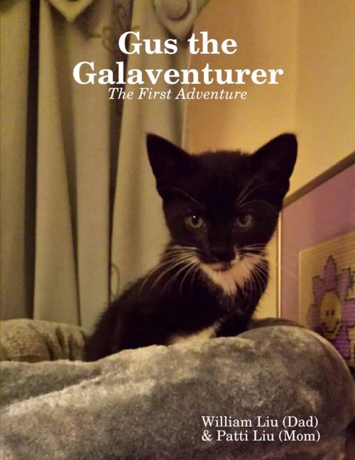 Cover of the book Gus the Galaventurer: The First Adventure by William Liu, Patti Liu, Lulu.com