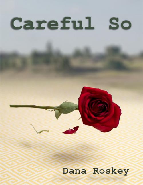 Cover of the book Careful So by Dana Roskey, Lulu.com