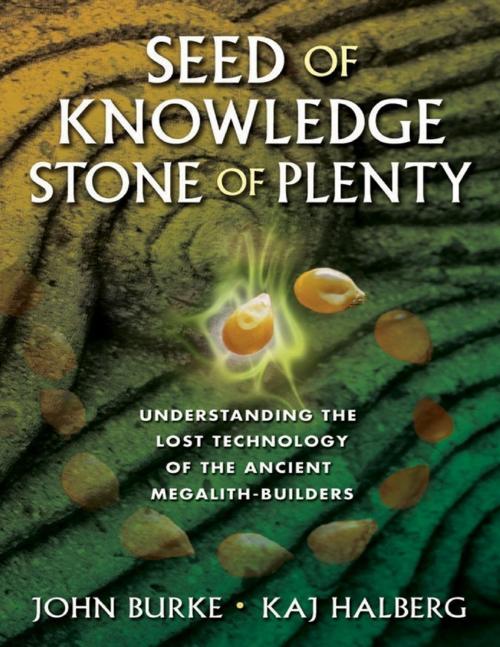 Cover of the book Seed of Knowledge, Stone of Plenty by John Burke, Kaj Halberg, Lulu.com