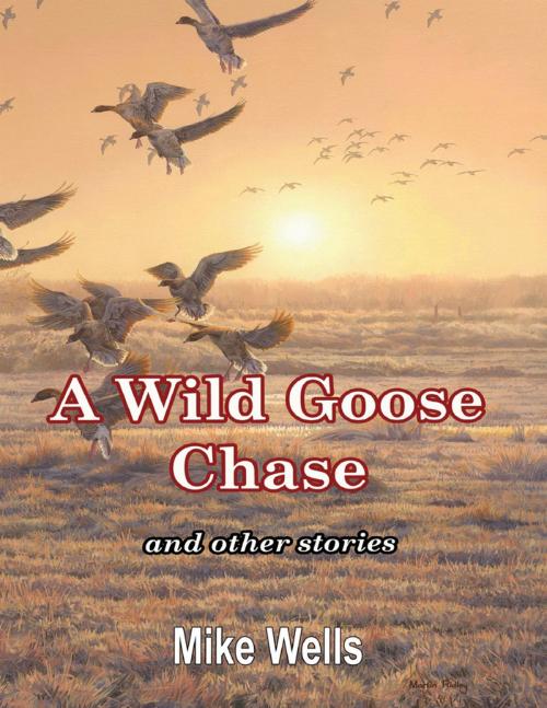 Cover of the book A Wild Goose Chase: And Other Stories by Mike Wells, Lulu.com
